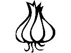  Fruits Vegtables Garlic 1 6 2 V A 1 Decal