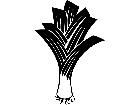  Fruits Vegtables Leeks 1 6 1 V A 1 Decal