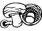  Fruits Vegtables Mushrooms 1 6 0 V A 1 Decal