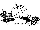  Fruits Vegtables Pumpkin Squash 1 6 0 V A 1 Decal