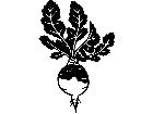 Fruits Vegtables Rutabaga 1 6 1 V A 1 Decal