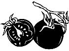  Fruits Vegtables Tomato 1 6 1 V A 1 Decal
