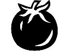  Fruits Vegtables Tomato 1 6 2 V A 1 Decal