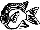  Garibaldi Fish 1 4 1 V A 1 Decal