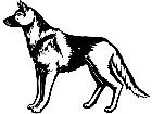  German Shepherd 1 3 8 V A 1 Decal
