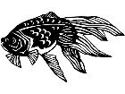  Goldfish 1 4 0 V A 1 Decal