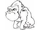  Gorilla Big Head Decal