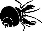  Hermit Crab 1 Decal