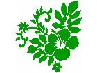  Hibiscus 3 Decal