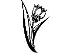  Holidays Spring Tulip 1 6 7 V A 1 Decal
