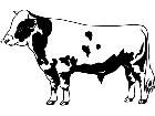  Holstein Friesian 1 3 4 V A 1 Decal