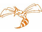  Hornet Decal