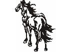 Horse Beauty 0 5 Decal