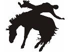  Horse Bucking 3 Decal
