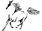  Horse Elegant Decal