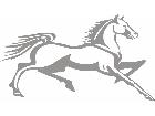  Horse Galloping Decal