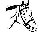  Horse Head 1 Decal