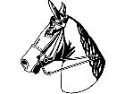 Horse Head 2 Decal
