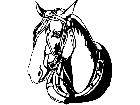  Horse Head 3 Decal