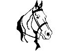  Horse Head Gaited 1 4 3 V A 1 Decal