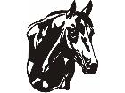  Horse Head Shadows C U 1 Decal