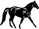  Horse Missouri Fox Trotter 1 4 3 V A 1 Decal