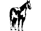  Horse Painted 1 4 3 V A 1 Decal