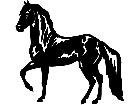  Horse Paso Finao 1 4 3 V A 1 Decal