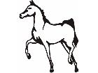  Horse Prancing C U 1 Decal