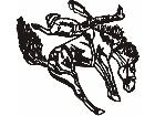  Horse Rodeo 0 3 C U 1 Decal