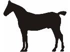  Horse Silhouette Stand 2 Decal