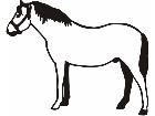  Horse Simple C U 1 Decal