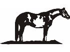  Horse Waiting C U 1 Decal
