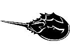  Horseshoe Crab 1 4 0 V A 1 Decal