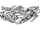  Hotrods 3 2 0 4 6 V A 1 Decal