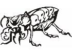  Insects Predatory 0 0 2 Decal