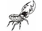  Insects Predatory 0 0 5 Decal