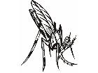  Insects Predatory 0 0 7 Decal