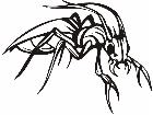  Insects Predatory 0 1 4 Decal