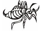  Insects Predatory 0 2 2 Decal
