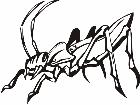  Insects Predatory 0 2 7 Decal
