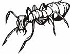  Insects Predatory 0 4 1 Decal