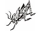  Insects Predatory 0 4 3 Decal