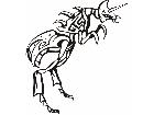  Insects Predatory 0 5 7 Decal