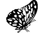  Insects Butterfly 2 1 4 4 V A 1 Decal
