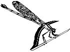  Insects Damsel Fly 1 4 4 V A 1 Decal