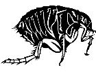  Insects Flea 1 4 4 V A 1 Decal