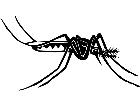  Insects Mosquito 1 4 4 V A 1 Decal