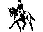  Jockey Horse Elegant Girl Decal