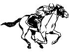  Jockey Racer Clean Decal